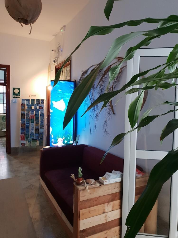 Cactus Host Hostel Las Palmas de Gran Canaria Exterior photo
